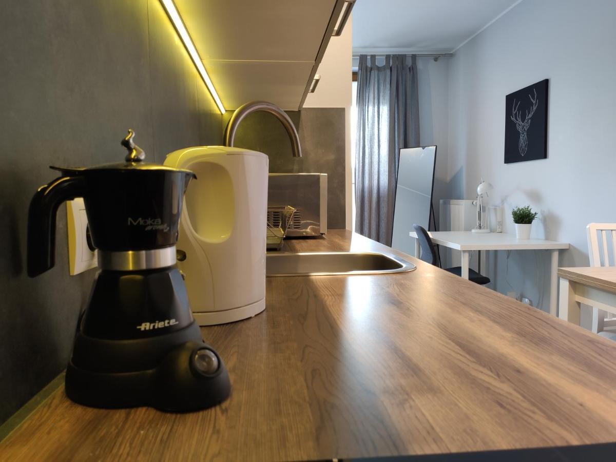 Dworska 1A - Studio By Homeprime كراكوفيا المظهر الخارجي الصورة